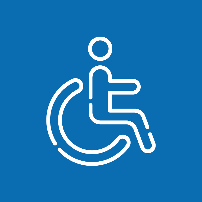 Accesso Disabili