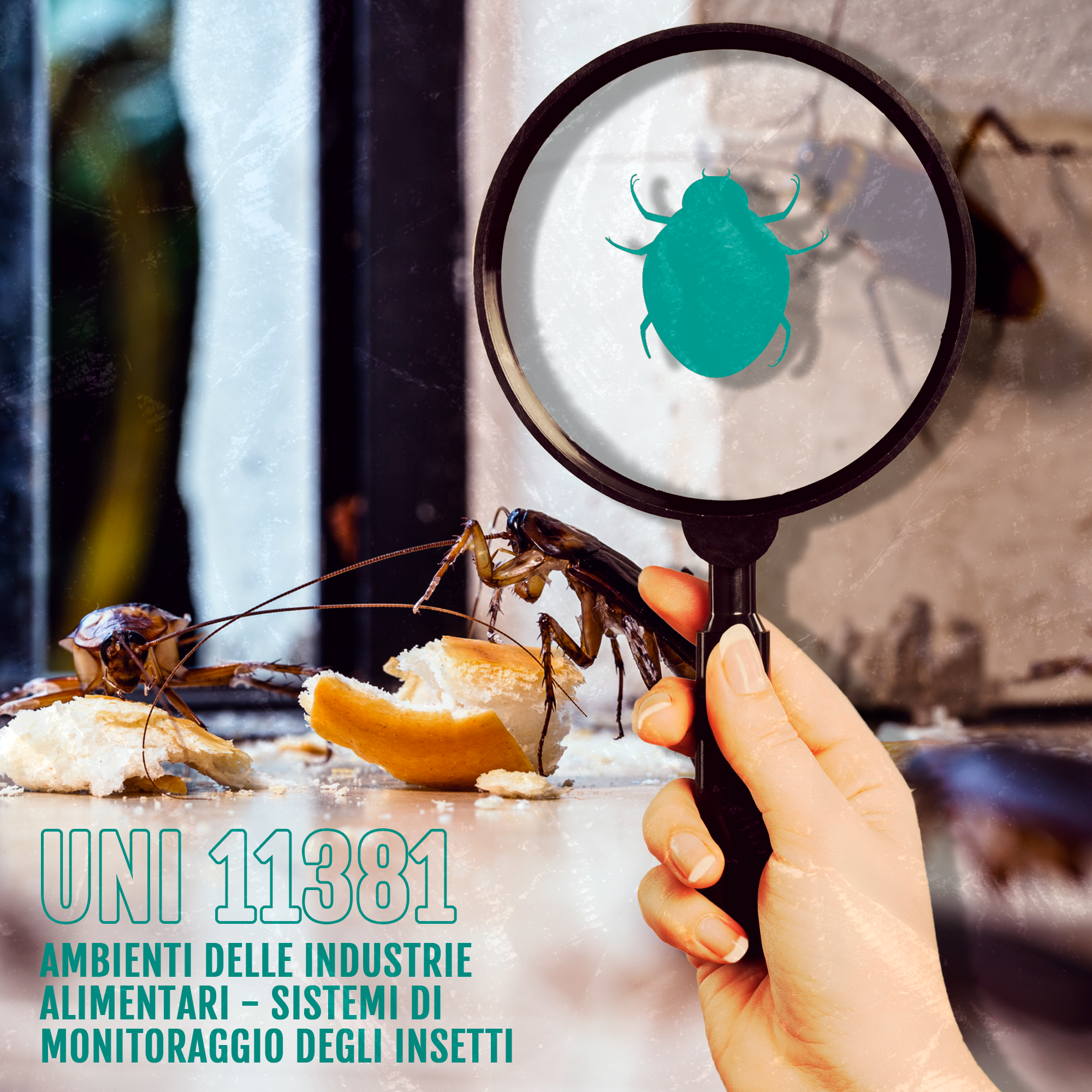 UNI EN 16636