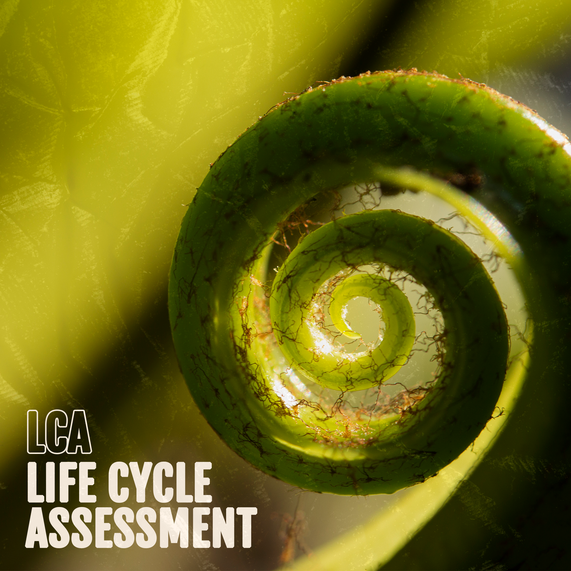 LIFE CYCLE ASSESSMENT (LCA)