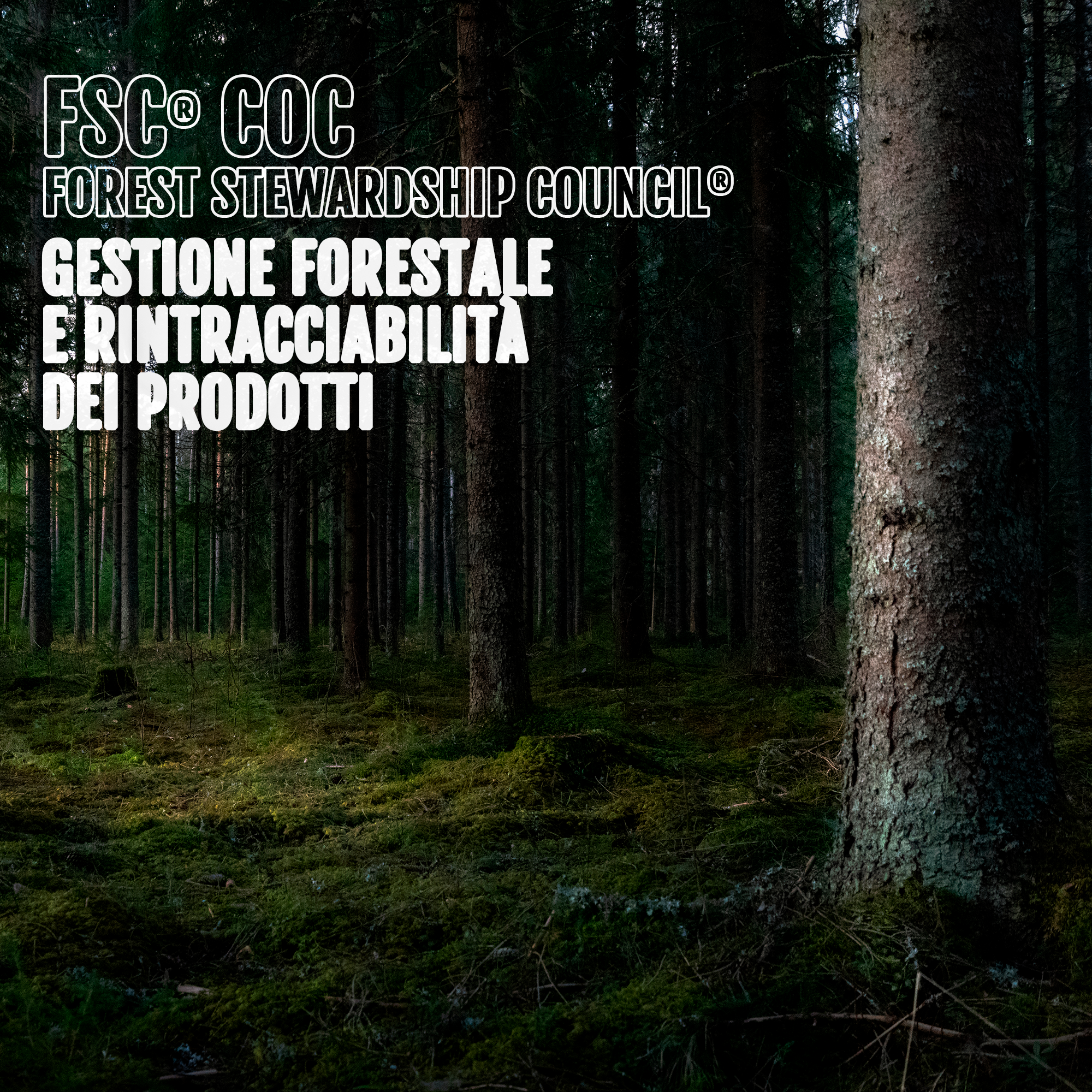 CERTIFICAZIONE FSC® COC