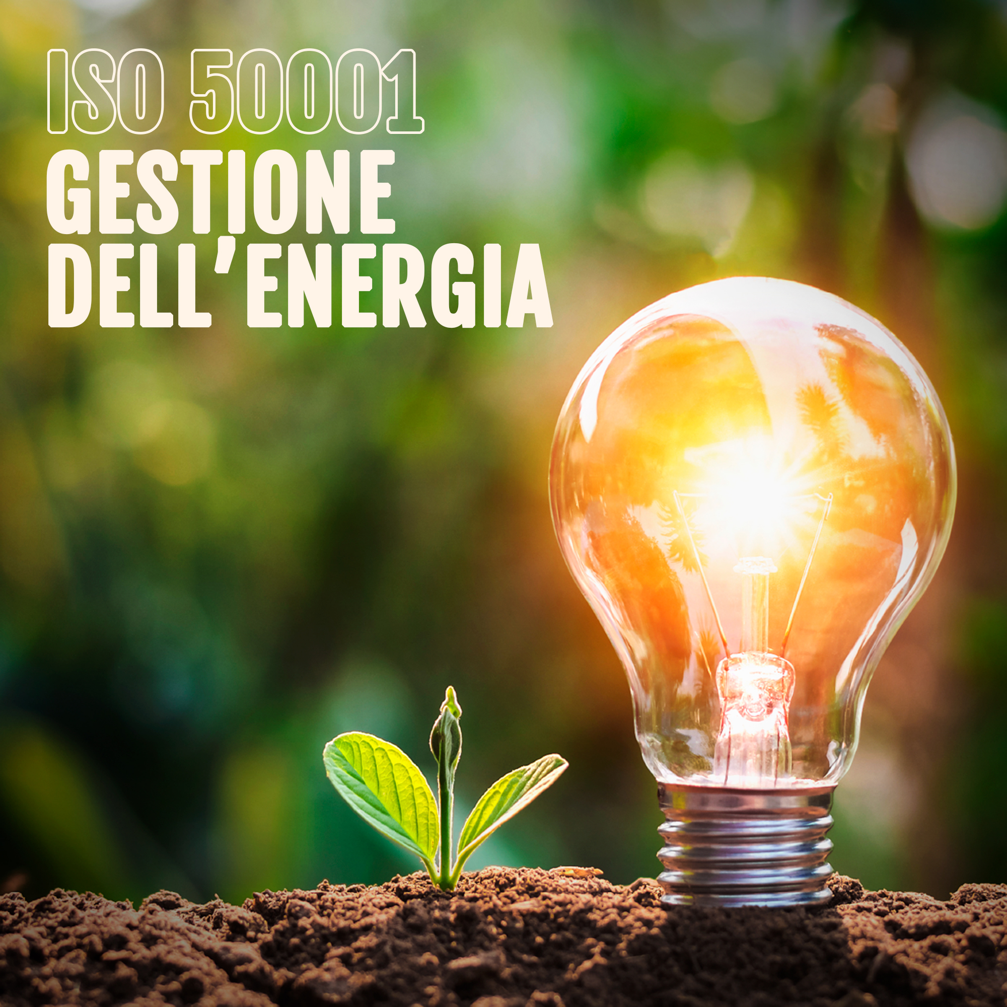 ISO 50001 sistemi di gestione dell'energia