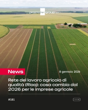 Decreto Terra dei Fuochi